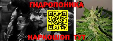ГАЛЛЮЦИНОГЕННЫЕ ГРИБЫ Канаш