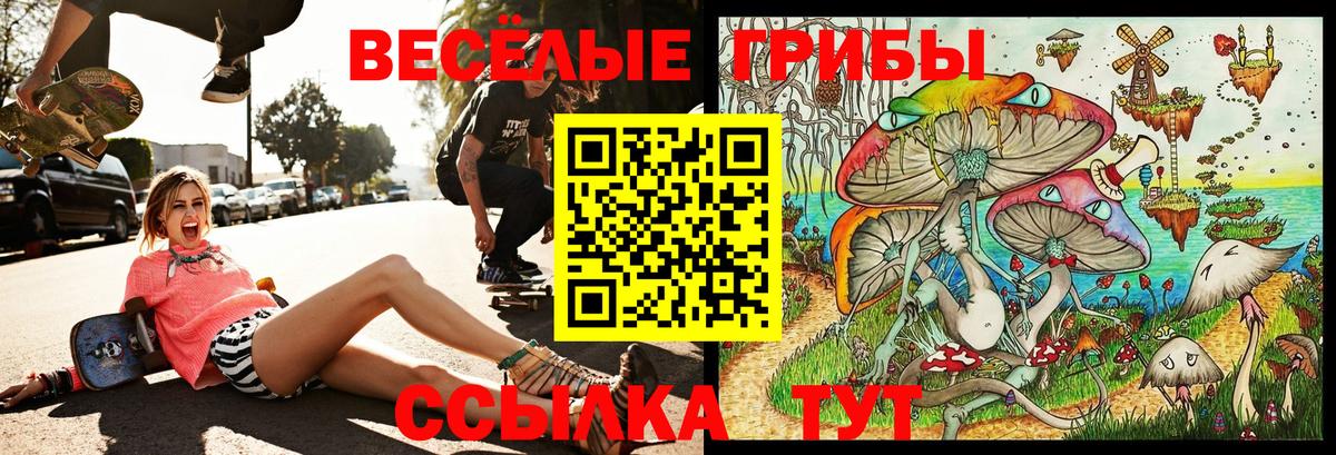Псилоцибиновые грибы Psilocybe  Вход с VPN  Краснокаменск 